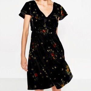 Zara Basic Collection Velvet Floral Dress